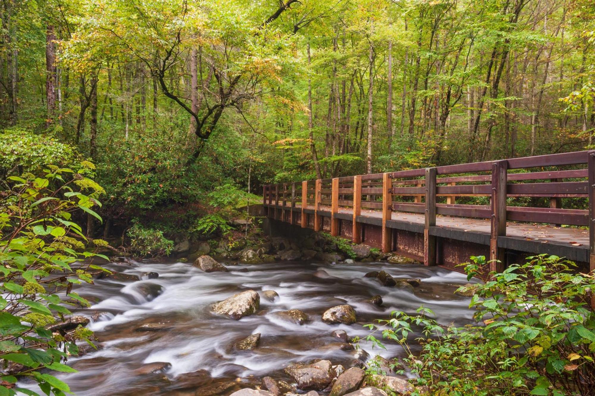 Moonshine Chalet, Hot Tub, Pool Access, Wifi, 1089 Free Tickets Each Paid Day, Dollywood And More Гатлинбург Экстерьер фото